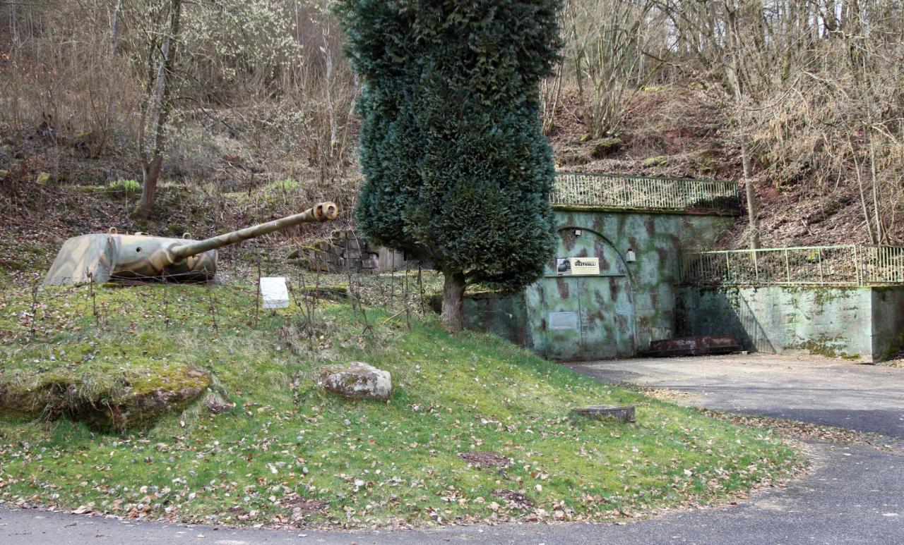 Fewo Pfaelzer Felsenlandschaft Pirmasens Eksteriør billede